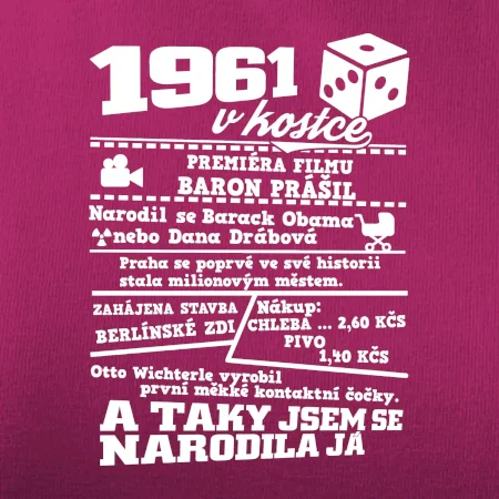 1961 v kostce