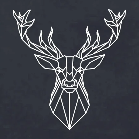 Geometrie - jelen