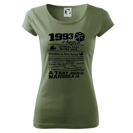 1993 v kostce