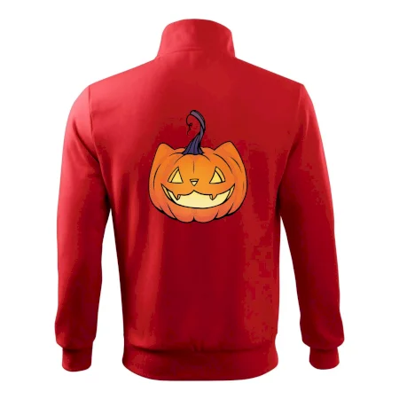 Kočičí dýně