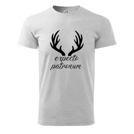 Harry - Expecto patronum
