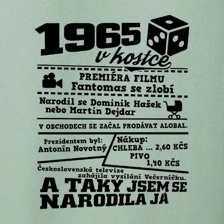 1965 v kostce