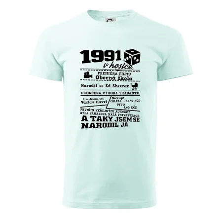 1991 v kostce