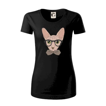 Hipster sphynx