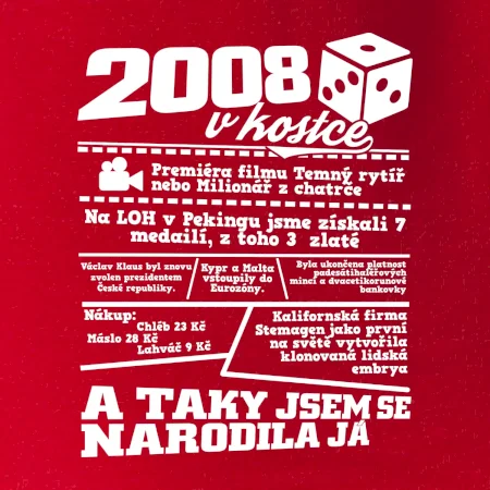 2008 v kostce