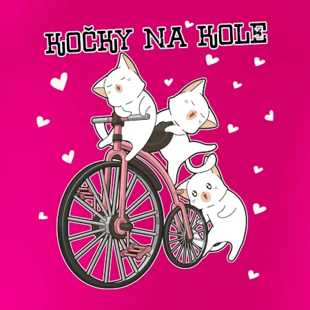 Kočky na kole