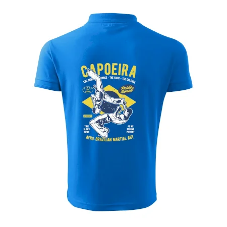 Capoeira  Afro-brazil art