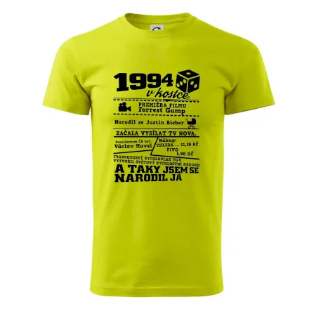 1994 v kostce