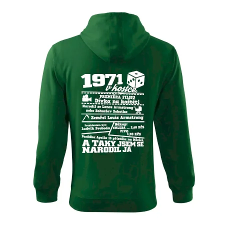 1971 v kostce