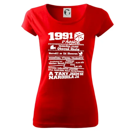 1991 v kostce
