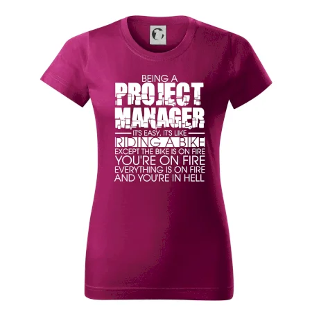 Being A Project Manager - bike