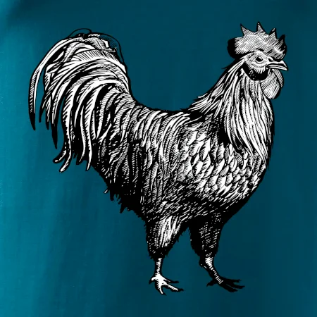 Kohout kreslený černobílý