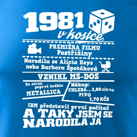 1981 v kostce