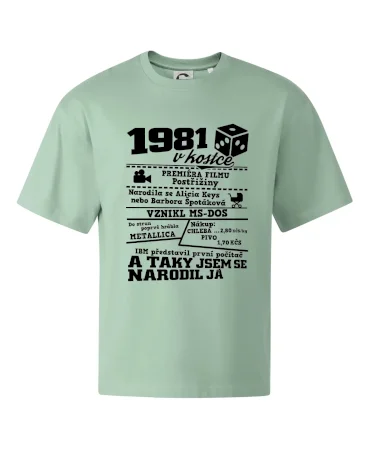 1981 v kostce