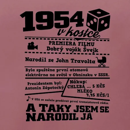 1954 v kostce