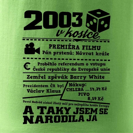 2003 v kostce