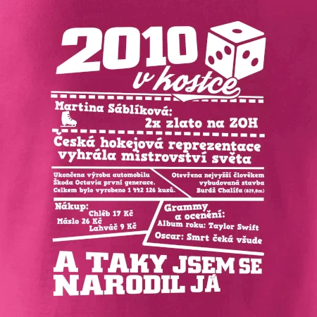 2010 v kostce