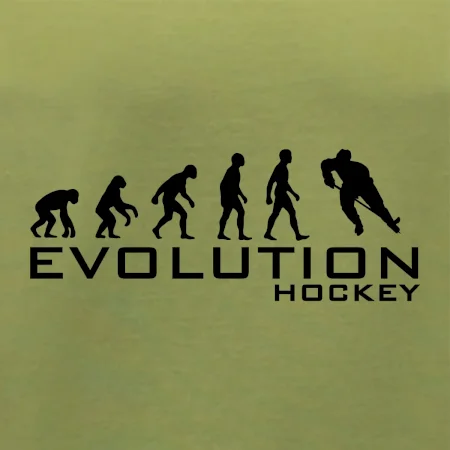 Evoluce Hockey - hráč