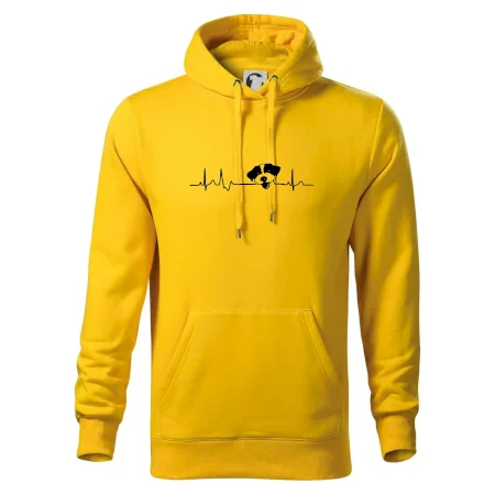 Jack Russell Terriér hrubosrstý Ekg