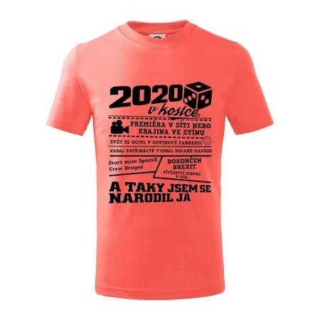 2020 v kostce