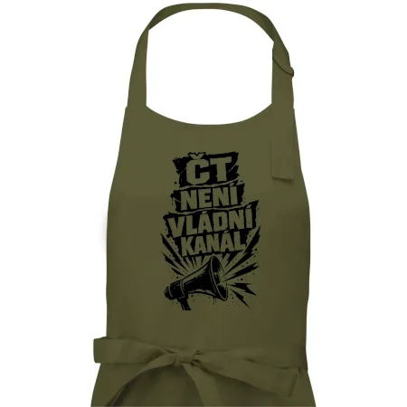 ČT není vládní kánál