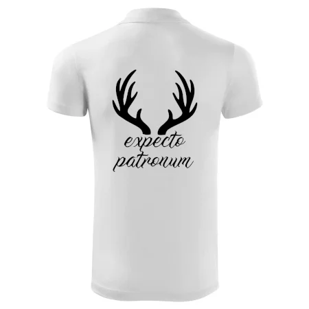 Harry - Expecto patronum