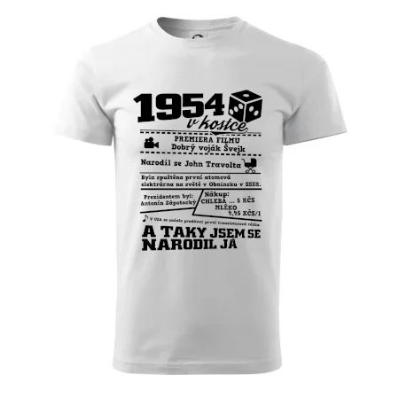 1954 v kostce