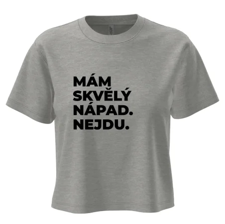 MÁM SKVĚLÝ NÁPAD. NEJDU.