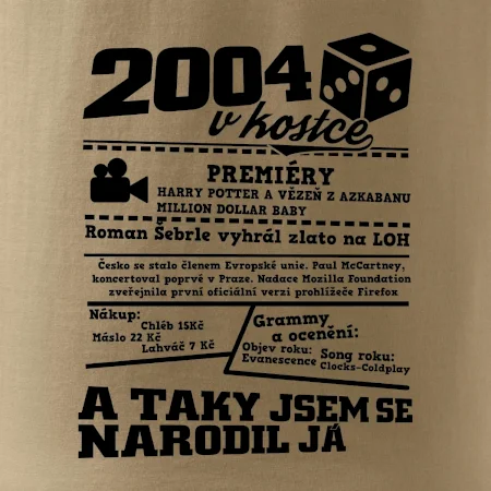 2004 v kostce