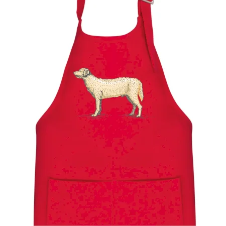 Vintage Labrador