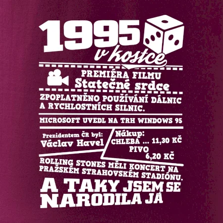 1995 v kostce