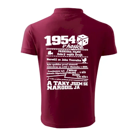 1954 v kostce