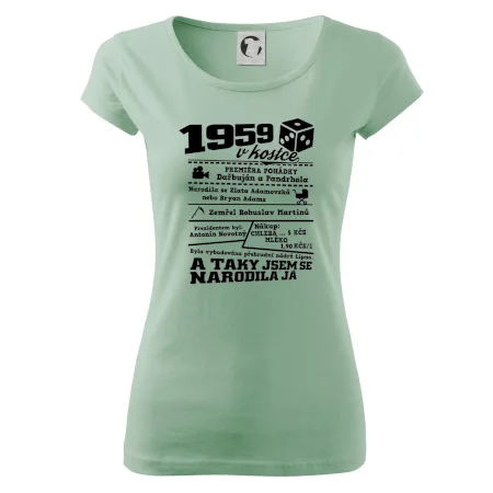1959 v kostce