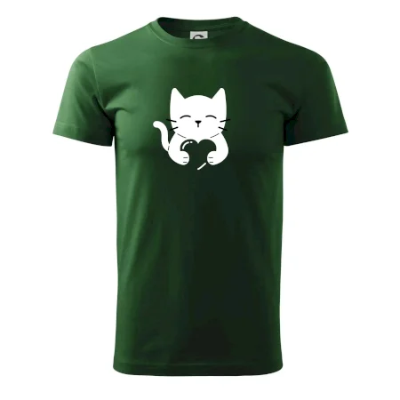 Kočka drží srdce