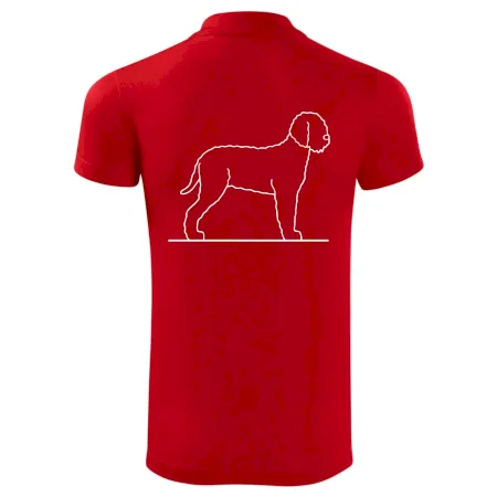 Lagotto romagnolo stojící