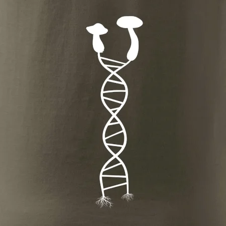 DNA houby