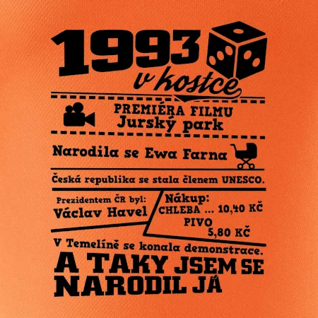 1993 v kostce