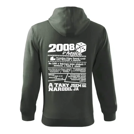 2008 v kostce