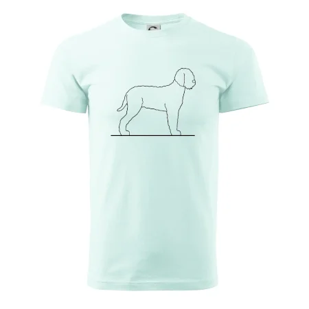 Lagotto romagnolo stojící
