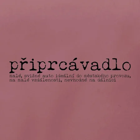 Čeština 2.0 - připrcávadlo