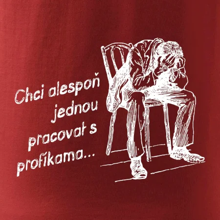Chci alespoň jednou pracovat s profíkama