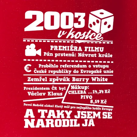 2003 v kostce