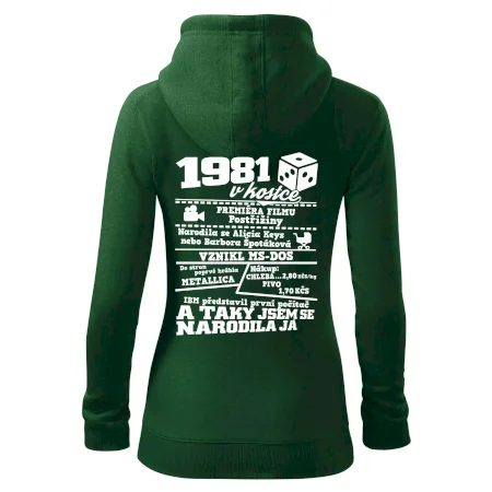 1981 v kostce