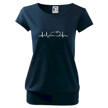 EKG morče