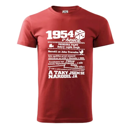 1954 v kostce