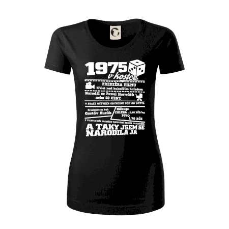 1975 v kostce