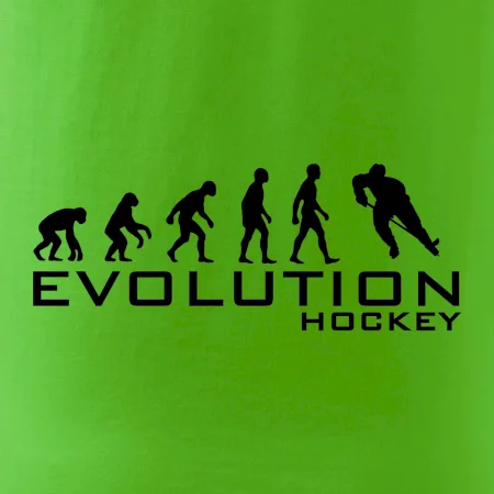 Evoluce Hockey - hráč