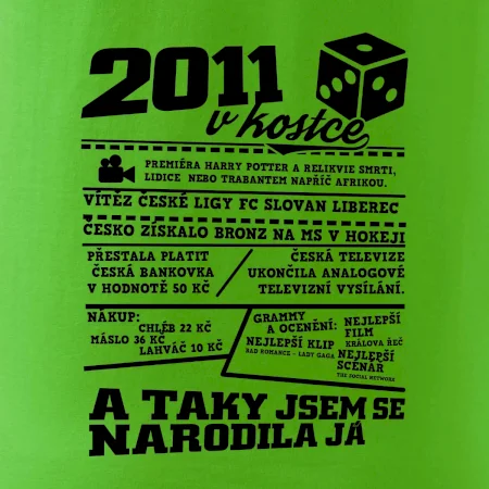 2011 v kostce