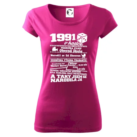 1991 v kostce