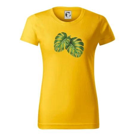 Monstera - dva listy